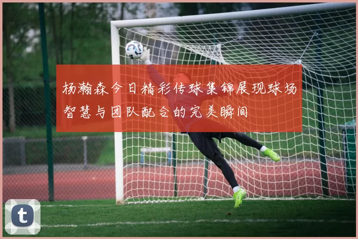 杨瀚森今日精彩传球集锦展现球场智慧与团队配合的完美瞬间